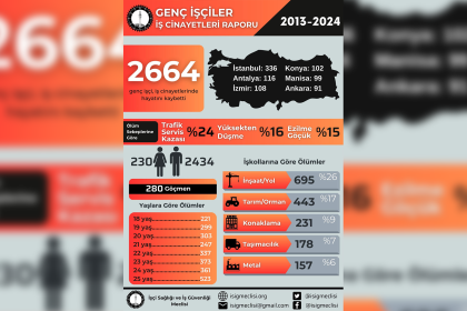 Genç İşçiler İş Cinayetleri Raporu, Muğla iş cinayeti raporu İSİG iş cinayetleri İSİG Meclisi