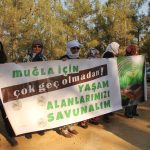 tip muğla il örgütü, tip muğla basın açıklaması, tip muğla dört bir yandan işgal ediliyor, tip muğla il örgütü açıklama, tip muğla açıklama