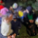 Milas jandarma Milas göçmen kaçakçılğı Milas jandarma milas sahil güvenlik
