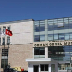 ogm mülakat sonuçları, ogm mülakat sonuçları ne zaman açıklanacak, ogm personel alımı 2025, işkur ogm işçi alımı 2025, orman genel müdürlüğü personel alımı 2025