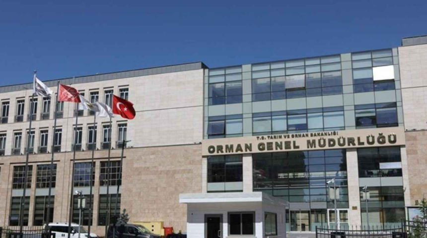 ogm mülakat sonuçları, ogm mülakat sonuçları ne zaman açıklanacak, ogm personel alımı 2025, işkur ogm işçi alımı 2025, orman genel müdürlüğü personel alımı 2025