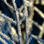 muğla soğuk hava muğla hava sıcaklığı seydikemer soğuk hava