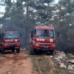 milas orman yangını, milastaki orman yangınında zarar gören alan, milasta yangında zarar gören alan, milasta yanan alan, milas yangın, milas orman