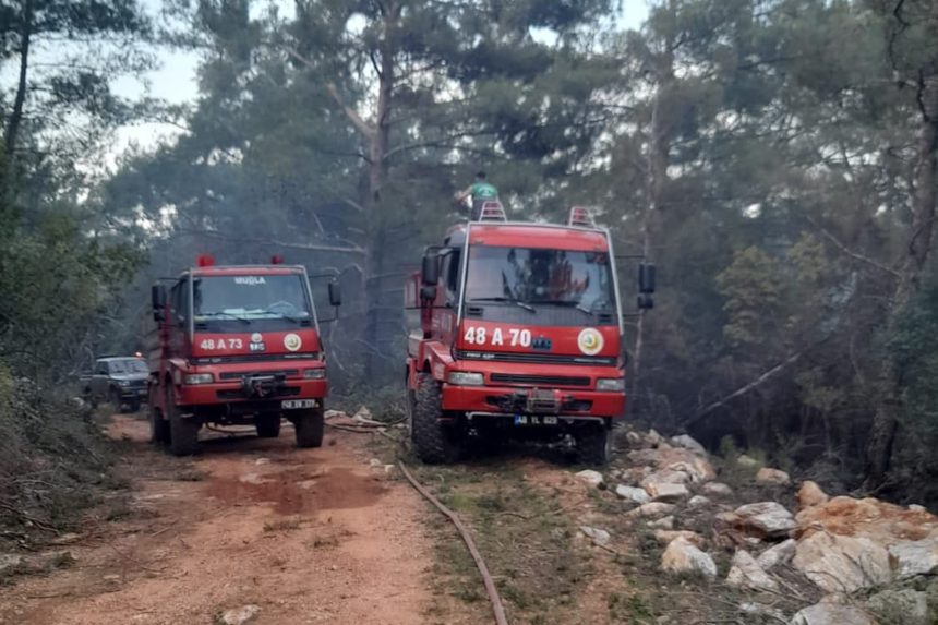 milas orman yangını, milastaki orman yangınında zarar gören alan, milasta yangında zarar gören alan, milasta yanan alan, milas yangın, milas orman