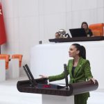 muğlada narenciye, muğlada azalan narenciye üretimi, muğlada narenciye üretimi, muğla milletvekili narenciye, gizem özcan narenciye