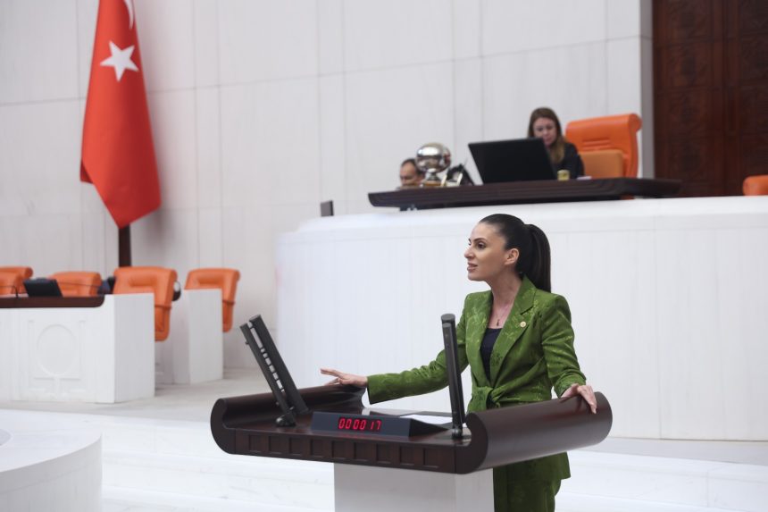 muğlada narenciye, muğlada azalan narenciye üretimi, muğlada narenciye üretimi, muğla milletvekili narenciye, gizem özcan narenciye