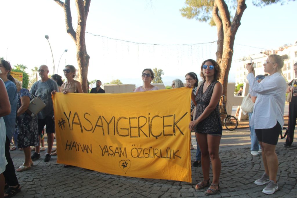 Hayvan Hakları Merkezi Başkan Yardımcısı Avukat Burcu Yağcı Hayvanları Koruma Kanunu Burcu yağcı hayvan hakları sokak hayvanları kanunu sokak hayvanları yasası