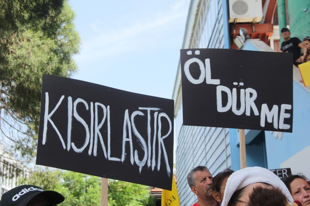 Hayvan Hakları Merkezi Başkan Yardımcısı Avukat Burcu Yağcı Hayvanları Koruma Kanunu Burcu yağcı hayvan hakları sokak hayvanları kanunu sokak hayvanları yasası