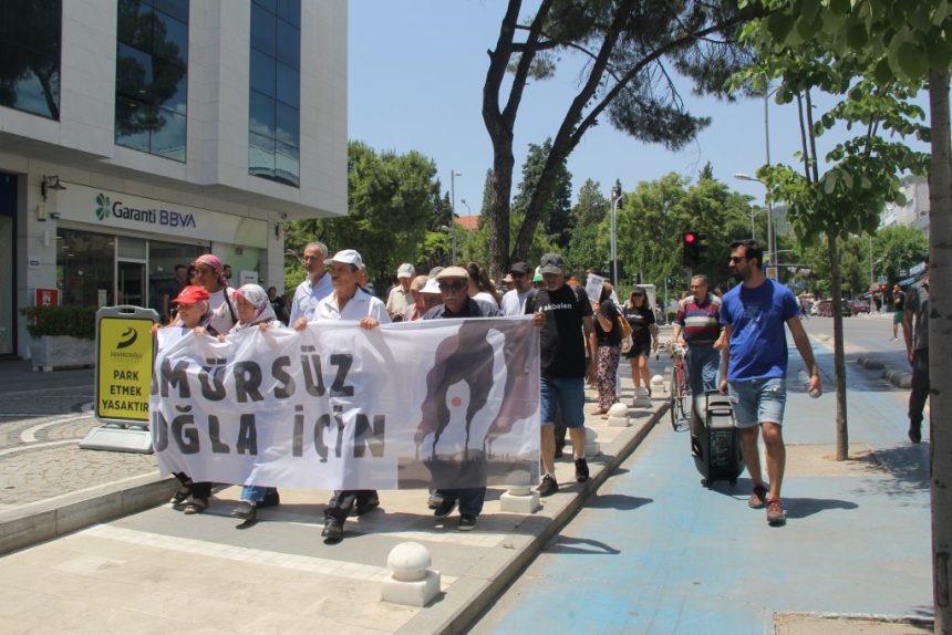 kemerköy termik santrali, kemerköy termik santrali davası, kemerköy termik santrali davası ret kararı, kardok kemerköy termik santrali, kemerköy termik santrali akbelen