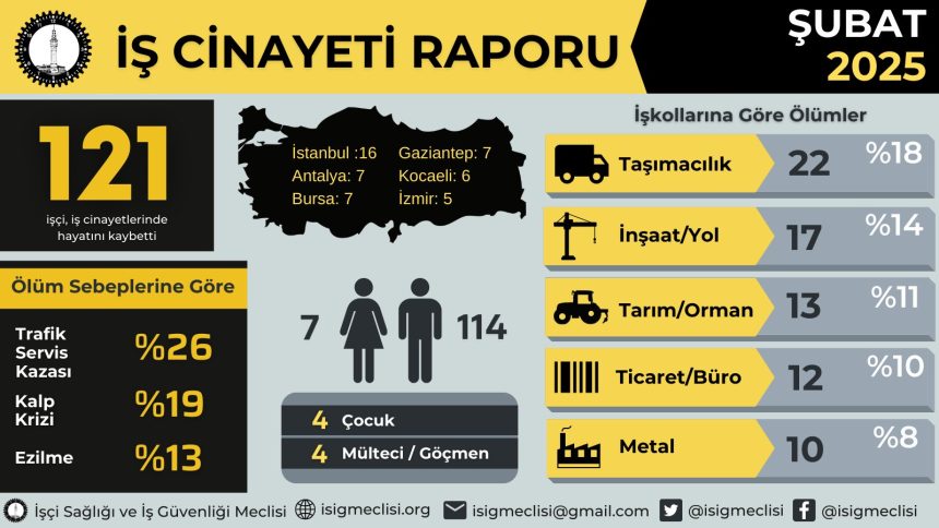 İSİG şubat ayı İSİG iş cinayeti şubat ayı iş cinayeti raporu Muğla iş cinayeti
