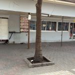 fethiye devlet hastanesi kantini Fethiye kantin mühürlendi Fethiye devlet hastanesi fethiye zabıta ekipleri fethiye kantin