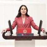 aksazlar marina projesi gizem özcan soru önergesi CHP Muğla Milletvekili Gizem Özcan aksazlar