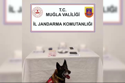 bodrum uyuşturucu operasyonu, bodrum uyuşturucu madde operasyonu, bodrum uyuşturucu, uyuşturucu veya uyarıcı madde imal ve ticareti suçu, muğla jandarma operasyon