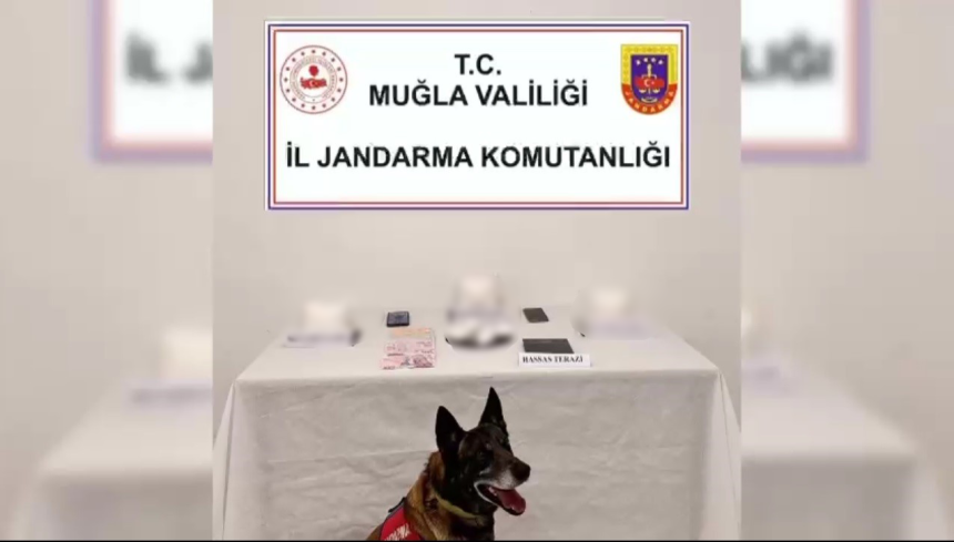 bodrum uyuşturucu operasyonu, bodrum uyuşturucu madde operasyonu, bodrum uyuşturucu, uyuşturucu veya uyarıcı madde imal ve ticareti suçu, muğla jandarma operasyon