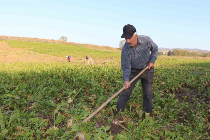 tarımsal destekleme ödemeleri, tarımsal destek ödemeleri t.c. ye göre, mazot gübre desteği ne zaman yatacak, 2025 mart ayı mazot gübre desteği, gübre desteği ne zaman ödenecek