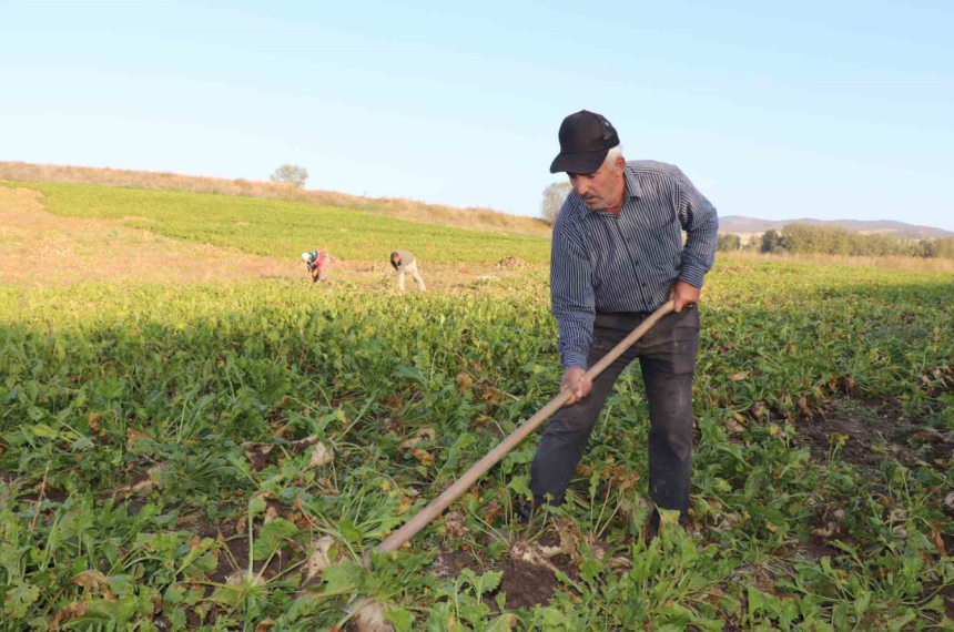 tarımsal destekleme ödemeleri, tarımsal destek ödemeleri t.c. ye göre, mazot gübre desteği ne zaman yatacak, 2025 mart ayı mazot gübre desteği, gübre desteği ne zaman ödenecek