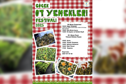 göcek ot yemekleri festivali, göcek ot yemekleri festivali 2025, göcek ot yemekleri, göcek festival, fethiye ot yemekleri festivali
