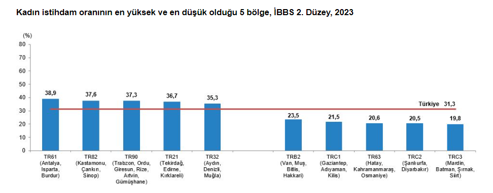istatistiklerle kadın, 2024 istatistiklerle kadın, tüik istatistiklerle kadın, tüik 8 mart, tüik 8 mart raporu