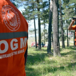 ogm personel alımı 2025, orman genel müdürlüğü, orman genel müdürlüğü personel alımı 2025, ogm işçi alımı, orman bakanlığı personel alımı 2025