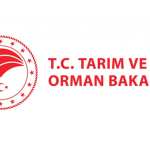 orman genel müdürlüğü personel alımı, ogm işçi alımı, ogm, tarım ve orman bakanlığı personel alımı 2025, personel alımı 2025