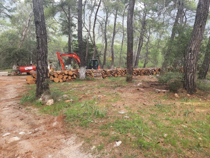 gökova ekoloji meclisi, akyaka orman kampı, akyaka orman kampı tahribat, muğla vakfı akyaka, muğla orman müdürlüğü akyaka