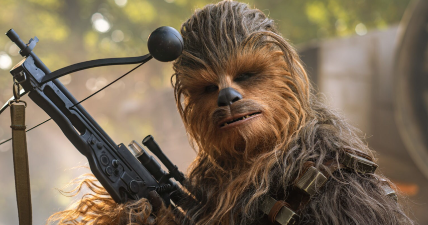chewbacca, chewbacca star wars, chewbacca üçlemesi, chewbacca yaylı tüfek, luke skywalker