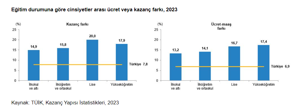 istatistiklerle kadın, 2024 istatistiklerle kadın, tüik istatistiklerle kadın, tüik 8 mart, tüik 8 mart raporu
