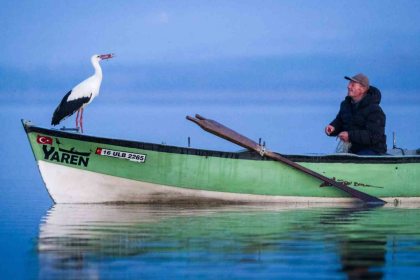 yaren leylek, yaren leylek geldi mi, adem amca yaren leylek, adem yılmaz, leylek