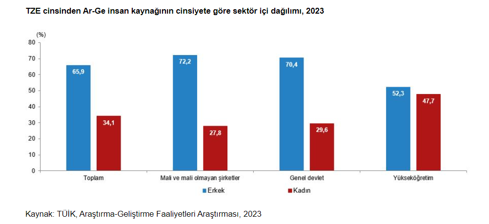 istatistiklerle kadın, 2024 istatistiklerle kadın, tüik istatistiklerle kadın, tüik 8 mart, tüik 8 mart raporu
