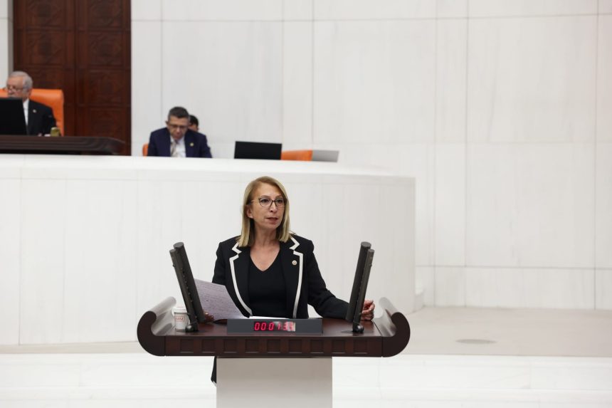 Süreyya Öneş Derici soru önergesi karacasöğüt marina projesi