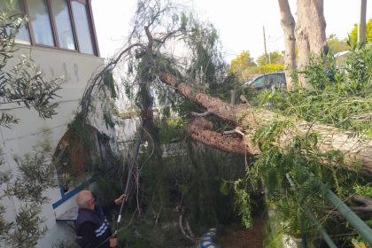 bodrumda fırtına, bodrum fırtına etkisi, bodrum fırtına, afrika çöl tozu, bodrum hava