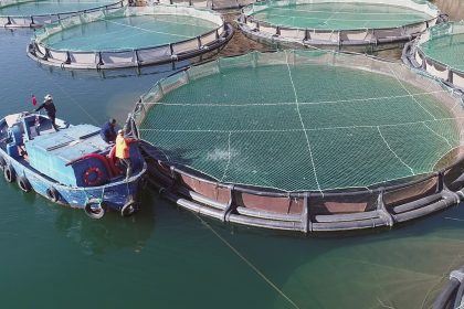 muğla su ürünleri, su ürünleri ihracatı muğla, ege ihracatçı birlikleri, muğla su ürünleri ihracatı, ege ihracatçı birlikleri mart ayı