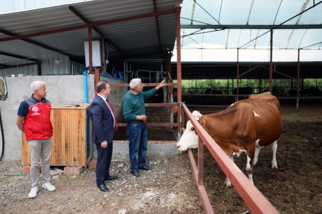ortaca çiftçi, Anneleri Aşılat Buzağını Yaşat, Muğla Büyükşehir Belediyesi, Muğla İl Tarım ve Orman Müdürlüğü