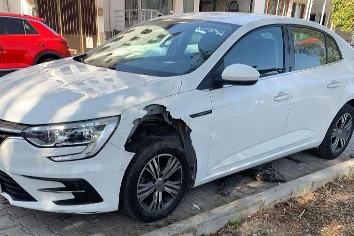 fethiyede domuzlar, fethyede domuzlar otomobili parçaladı, fethyede domuzlar otomobile saldırdı, fethyede merkeze inen domuzlar, fethiye domuz