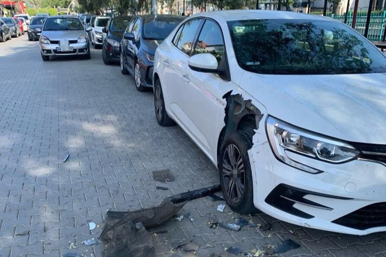 fethiyede domuzlar, fethyede domuzlar otomobili parçaladı, fethyede domuzlar otomobile saldırdı, fethyede merkeze inen domuzlar, fethiye domuz