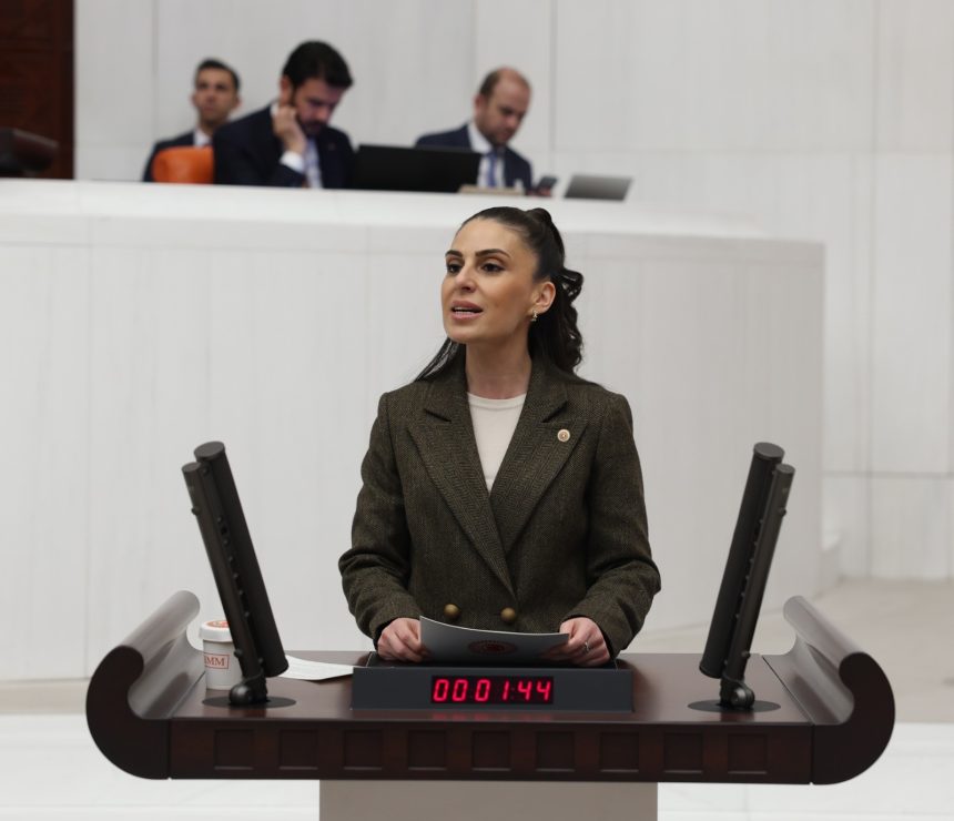 avukat Serkan Günel gizem özcan avukat gözaltıları Gizem Özcan açıklama CHP Muğla Milletvekili Gizem Özcan
