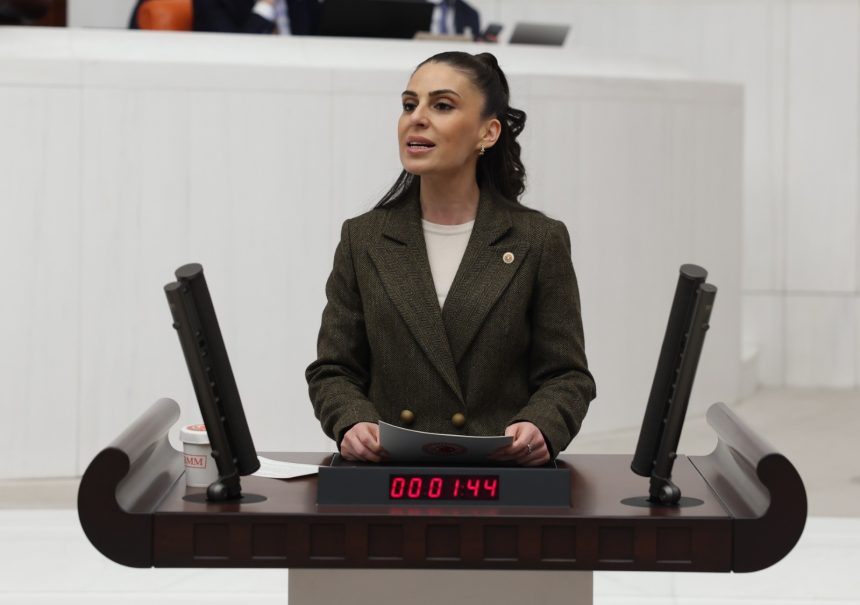 gizem özcan muğla kyk muğla yurttan atılan öğrenciler chp gizem özcan