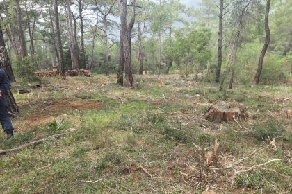 Gökova Ekoloji Meclisi Akyaka açıklaması Gökova Ekoloji Meclisi açıklama Gökova Ekoloji Meclisi