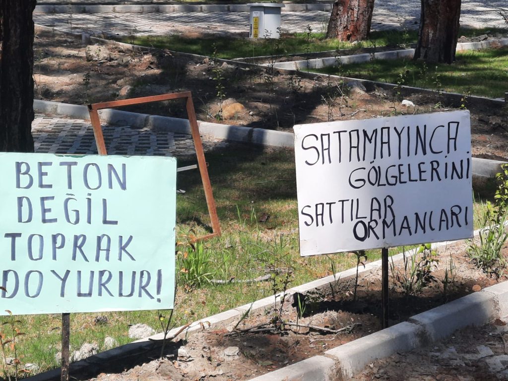 Gökova Ekoloji Meclisi Akyaka Orman Kampı Gökova Ekoloji Meclisi akyaka Gökova Ekoloji Meclisi açıklaması