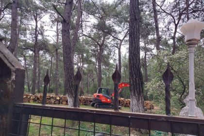 akyaka orman kampı, gökova akyakayı sevenler derneği, akyaka, uladaki orman kampı, akyaka orman kampı tahribatı