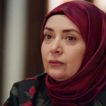 sibel taşçıoğlu, sibel taşçıoğlu kızılcık şerbeti, pembe diziden ayrılıyor mu, kızılcık şerbeti pembe, kızılcık şerbeti pembe diziden çıkıyor mu