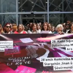 Fethiye Kadın Danışma ve Dayanışma Derneği, Muğla Emek Benim Kadın Derneği, vanda kadın kurultayı, Kadın Sığınakları ve Dayanışma Merkezleri Kurultayı