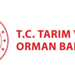 kadınlara yüzde 50 hibe desteği, tarım ve orman bakanı ibrahim yumaklı, orman köyleri, kadınlara hibe desteği, hibe desteği