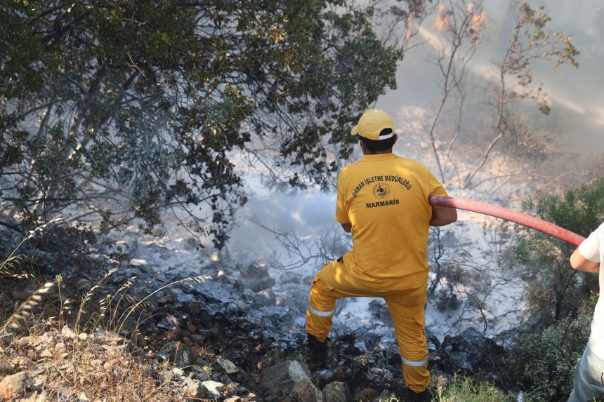 marmaris orman yangını, marmaris yangın, marmaris orman yangını kontrol, marmaristeki orman yangını kontrol altına alındı, marmaris orman
