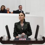 hes özelleştirilmesi, Akköprü HES özelleştirilmesi, CHP Muğla Milletvekili Gizem Özcan