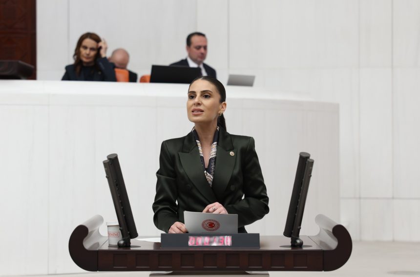hes özelleştirilmesi, Akköprü HES özelleştirilmesi, CHP Muğla Milletvekili Gizem Özcan