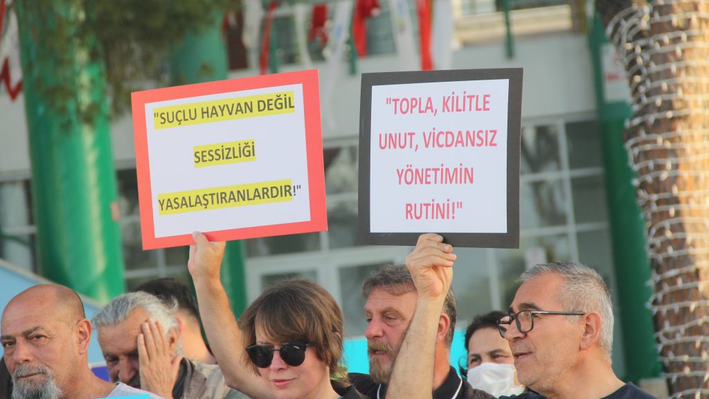 fethiye hayvanları koruma kanunu, hayvanları koruma kanununun iptali, anayasa mahkemesi hayvanları koruma kanunu, mahmut tanal fethiye, fethiye hayvan hakları mahmut tanal