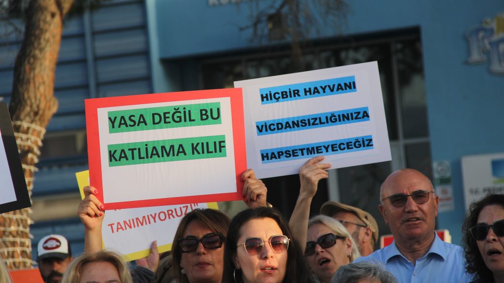 fethiye hayvanları koruma kanunu, hayvanları koruma kanununun iptali, anayasa mahkemesi hayvanları koruma kanunu, mahmut tanal fethiye, fethiye hayvan hakları mahmut tanal