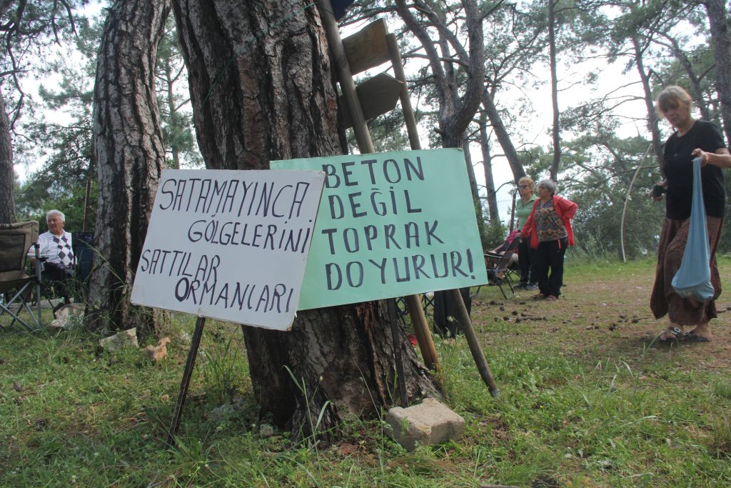 akyaka orman kampı, muğla valisi akyaka orman kampı açıklama, idris akbıyık, akyaka orman kampı açıklama, ula akyaka