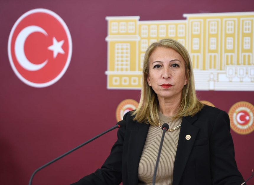 Aile ve Sosyal Hizmetler Bakanı Mahinur Özdemir Göktaş CHP Muğla Milletvekili Süreyya Öneş Derici soru önergesi bodrum kadına yönelik şiddet